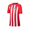 CAMISETA ATLETICO DE MADRID LOCAL ADULTO 2023 2024 NIKE